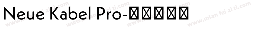 Neue Kabel Pro字体转换